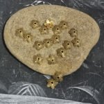 200pcs, 7mm Size Oxidized Antique tone bead caps for jewelry making