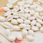 100pcs pkg., Double Hole, Natural White sea Shell/Cowrie/Kowrie/Kodi for Craft, Jewllery, Bracelet, Rakhi, Embroidery Work