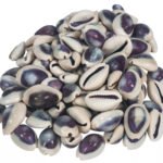 100pcs pkg., Purple Top Cowrie Shell , Natural Grayish Slice Cut Cowrie Shell Bead Undrilled