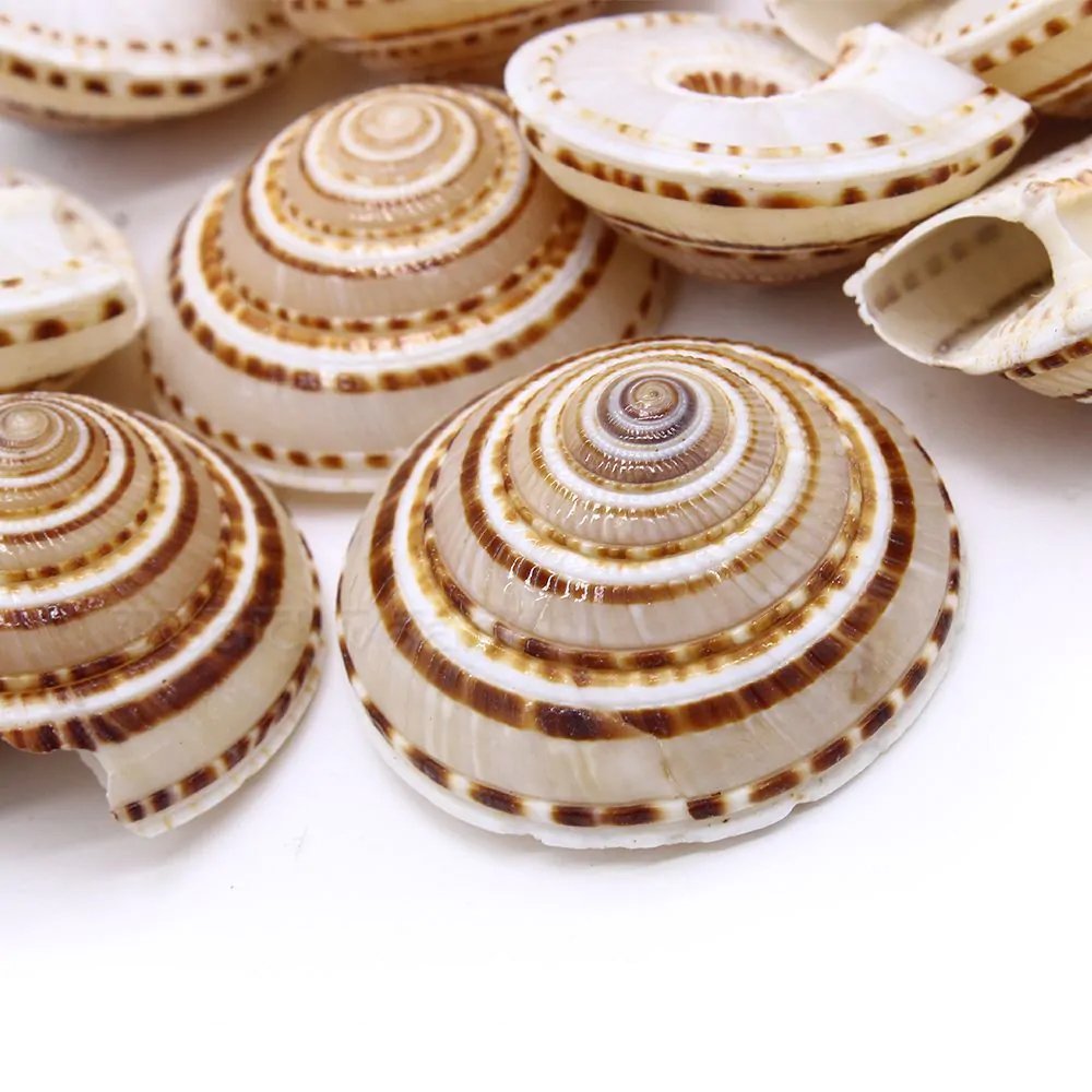 vishnu-sudarshan-chakra-shankh